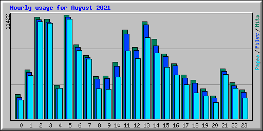 Hourly usage for August 2021