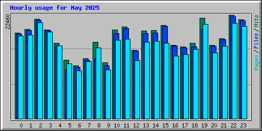 Hourly usage for May 2025
