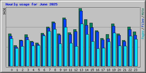 Hourly usage for June 2025