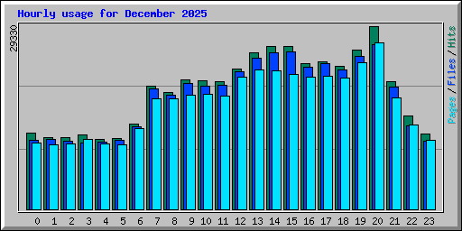 Hourly usage for December 2025