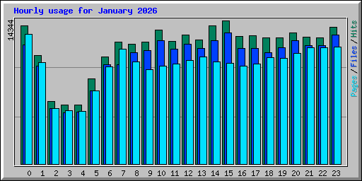 Hourly usage for January 2026